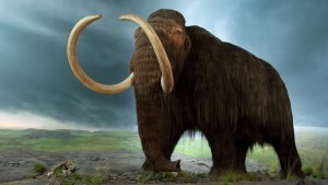 mammoth-1024x576