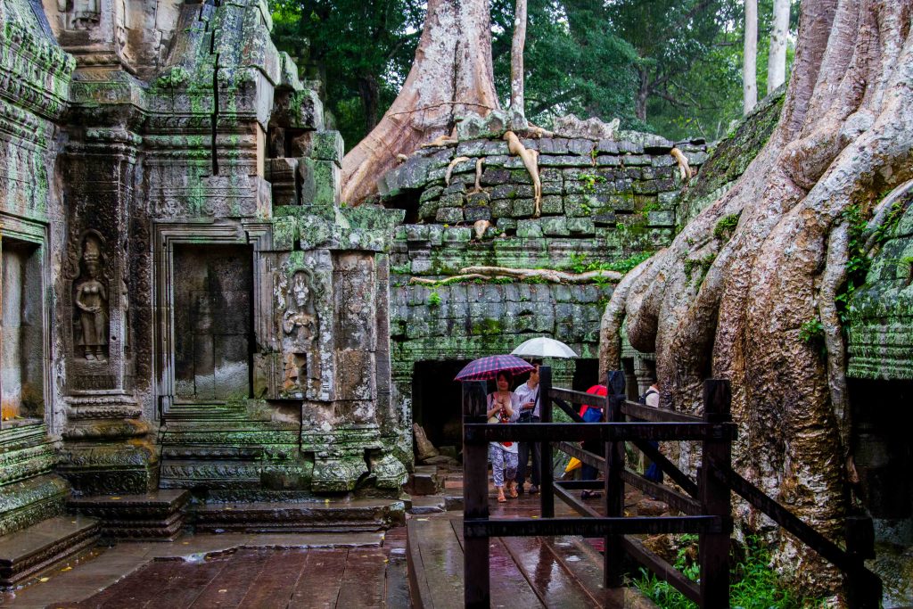 Trees-at-Ta-Prohm-Angkor-Thom-Angkor-Wat-Cambodia-1024x683